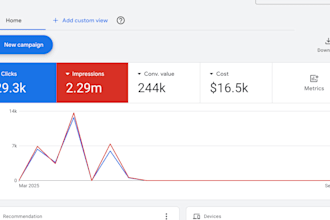manage your google ads and improve conversion