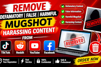 help report defamatory, false, harmful, and harassing online content