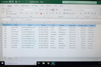do accurate data entry and excel data formatting