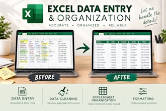 organize and clean up your spreadsheet or excel data