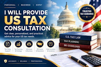 provide US international tax consultation
