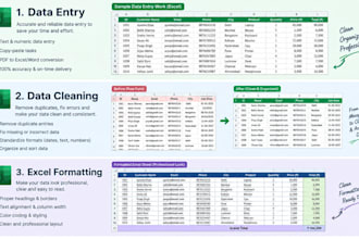 do excel data entry, formatting and spreadsheet cleanup