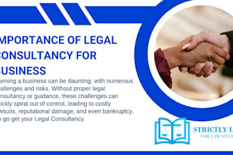 provide professional online legal consultation and legal document services