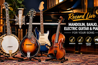 record live mandolin, banjo, electric guitar and piano for your song