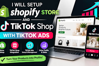 setup shopify store and tiktok shop with tiktok ads