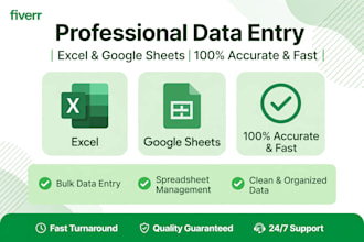 do accurate data entry in excel and google sheets