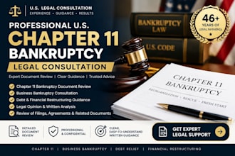provide professional US chapter 11 bankruptcy legal consultation