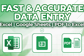 do a fast and accurate data entry in excel and google sheet