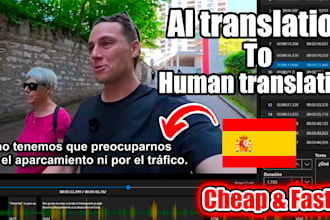 polish your ai translated english to spanish subtitles