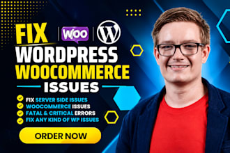 fix wordpress errors, bugs, issues, elementor errors, CSS, and provide wp help
