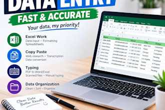 fast and accurate data entry work