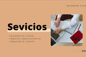 asistente virtual, data entry