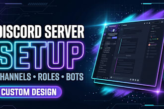 design and set up a professional discord server