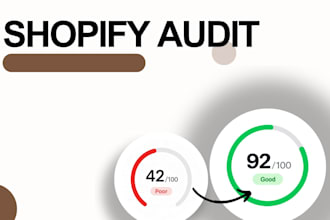 do full shopify audit