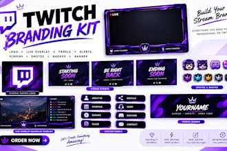 a professional twitch overlay stream package