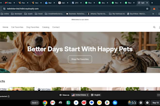 design a professional shopify store for your business
