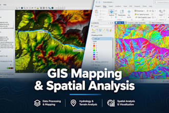 do mapping, spatial data processing and gis analysis