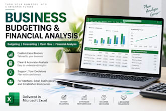 prepare business budgets and financial analysis reports