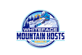 create fantastic and gorgeous skiing logo design