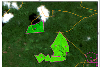 do gis mapping, geospatial and satellite analysis
