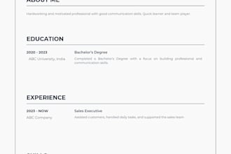 write a professional ats friendly resume
