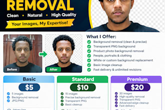 do professional background removal and object removal