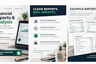 provide accounting and financial support