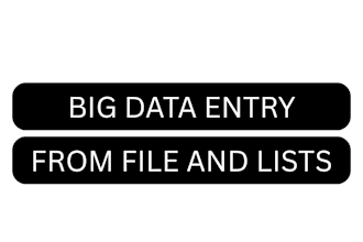 handle big data entry from your files and list