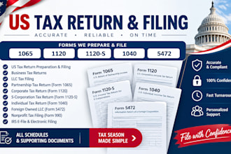 prepare and file US tax returns, form 1065, 1120s, 1120, and 1040