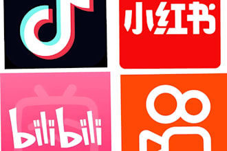 the chinese social media accounts of xiaohongshu and douyin