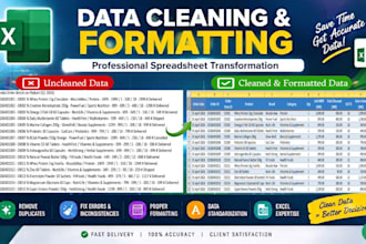 clean, format, and remove duplicates in excel spreadsheets