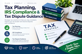provide tax planning, irs compliance and tax dispute guidance