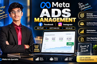 setup and manage facebook instagram and meta ads