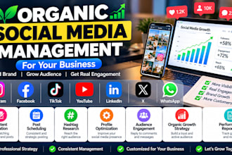 be your organic social media manager for instagram, facebook and tiktok