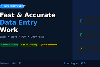 do fast and accurate data entry work in excel or word etc