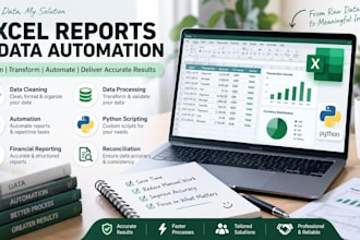 automate excel reports and clean financial data