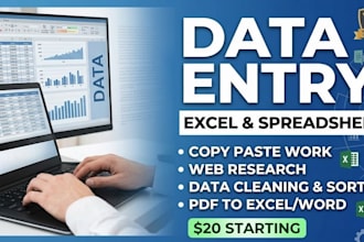 do data entry, excel data entry, PDF to excel data entry
