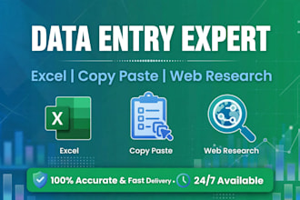do data entry, excel, copy paste and web research