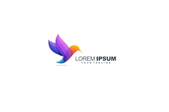 design awesome colorful bird logo