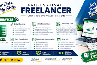 do excel data cleaning, excel data formatting, data analysis