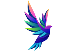 design bird colorful gradient logo