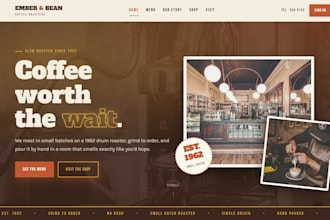 fix wordpress errors, debug issues, and speed up your website
