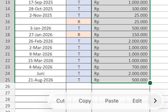 be your virtual assistant for data entry and file organization