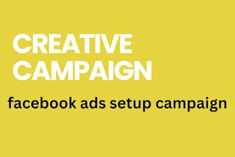 setup and manage profitable facebook ads campaign and instragram ads