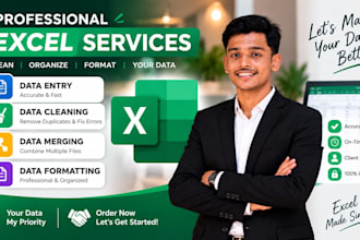 do excel data cleaning, data entry, formatting and merging