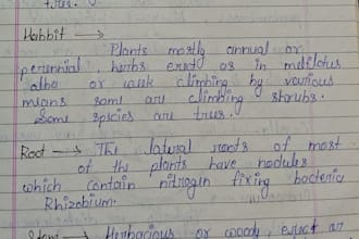do neat english handwriting, fast typing and data entry work
