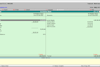 do sales, data entry, data manage, tally, data analysis