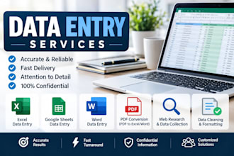 accurate data entry, excel, presentations and data cleaning