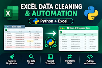 clean and automate your excel data with python