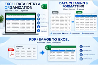 organize data in excel databases